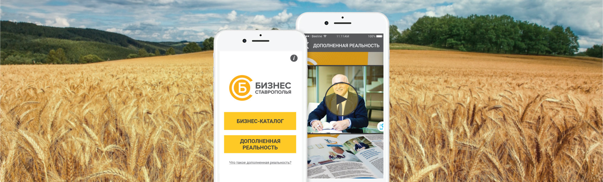 Business of Stavropol Mobile Application