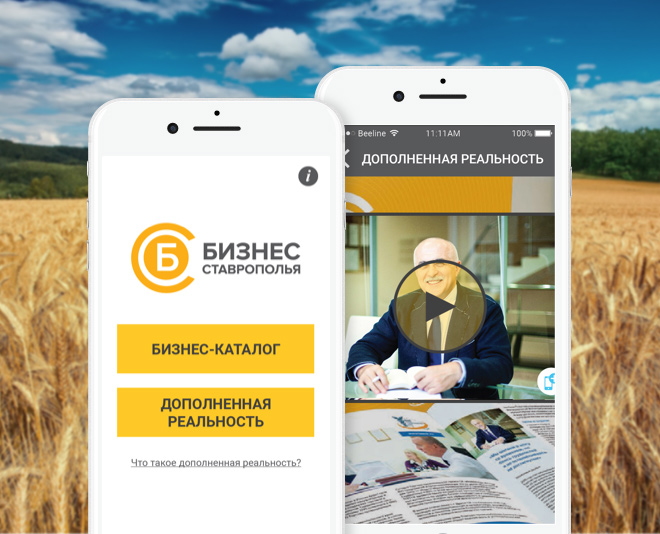 Business of Stavropol Mobile Application