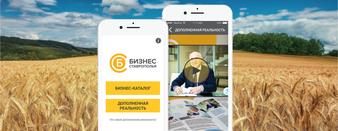 Business of Stavropol Mobile Application
